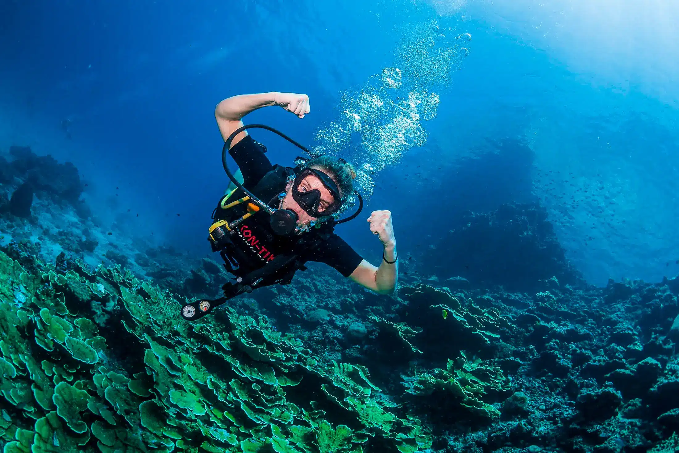 dykkelappen, Thailand